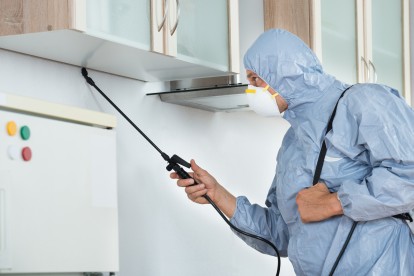 Home Pest Control, Pest Control in Belmont, South Sutton, SM2. Call Now 020 8166 9746